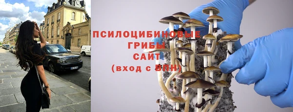 МДПВ Карталы