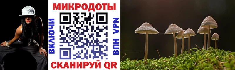 Псилоцибиновые грибы мухоморы  Купить закладки  Кашира 